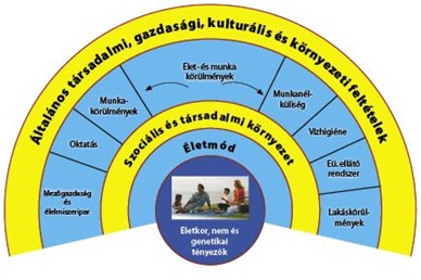 AZ EGÉSZSÉG TÁRSADALMI- GAZDASÁGI MODELLJE